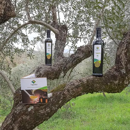 Farm stay Cuorelieto Del Cilento Corleto Monforte