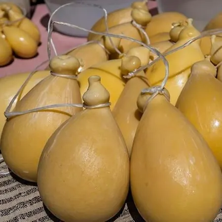Cuorelieto Del Cilento
